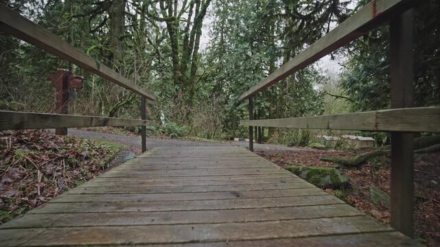 The camera glides backward low to the ground across a rustic wooden footbridge with handrails. The serene gravel pathway leads into a dense forest of evergreen trees at Bridal Veil Falls in Canada