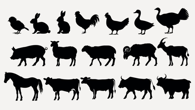 Silhouettes of various farm animals vector set