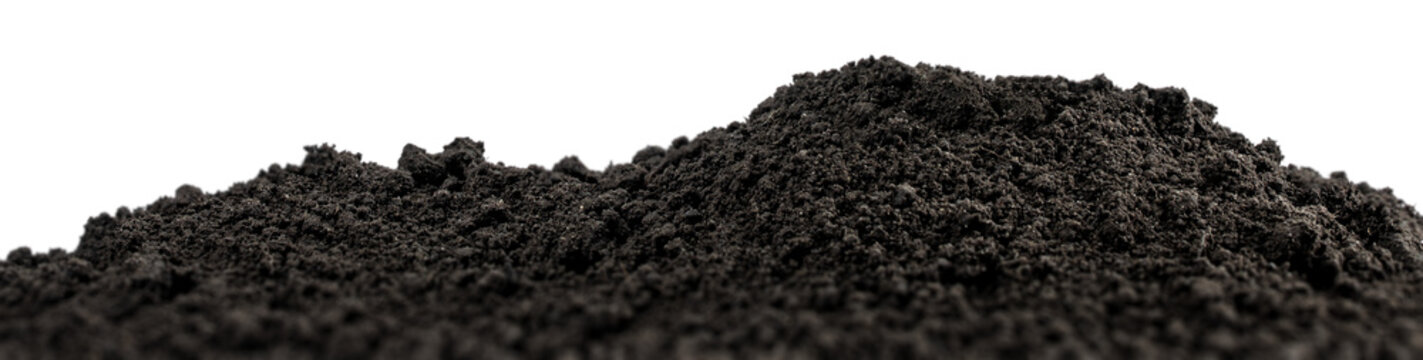 Black soil pile isolated background. Dark earth texture for gardening, agriculture, planting, compost and design use.