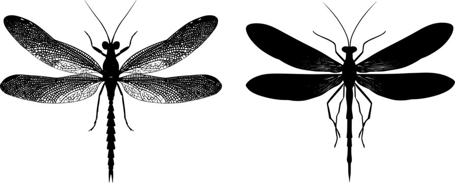 A minimalist stencil design of an elegant snakefly with a long neck and stark black silhouette, isolated on a pure white background, showcasing crisp high contrast edges in flat vector style