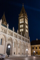 Fototapeta premium Pecs cathedral illuminated at night in hungary