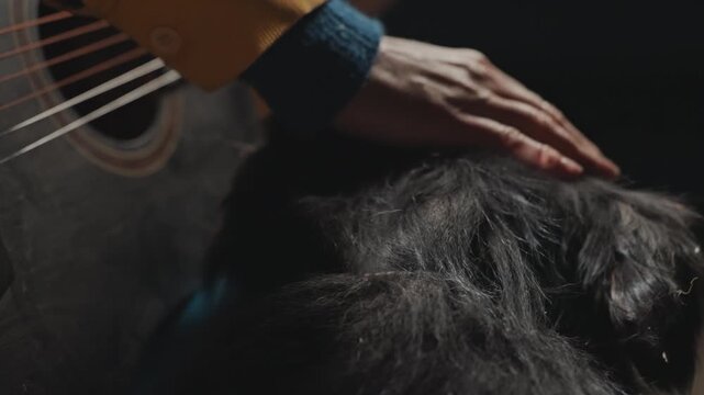 Hands caress black dog by guitar. Intimate evening scene of hand gently petting dog close to camp tent. Cozy twilight moment where hands lovingly touch dog beside acoustic guitar and campfire