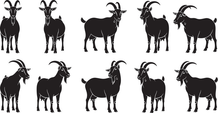 Set of goat silhouettes vector illustration farm animal icons in different poses isolated on white background
