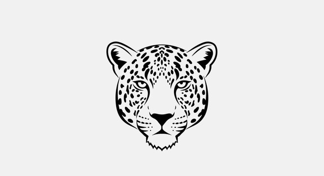 leopard on white background