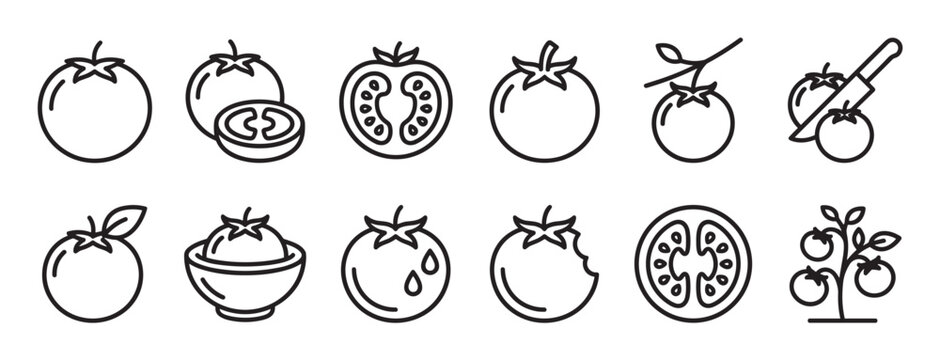 Collection of simple line art tomato icons depicting whole, sliced, bitten, and growing vegetables in various forms