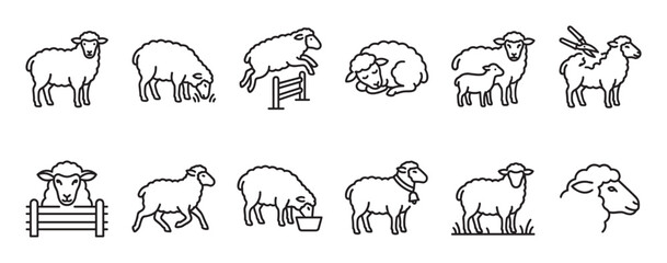 Obraz premium Various sheep line art icons depict different actions and poses, including standing, grazing, jumping, sleeping, and being shorn
