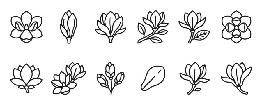 Collection of various simple line art magnolia flower icons, including buds, blossoms, and petals, presented in a clean, minimalist style