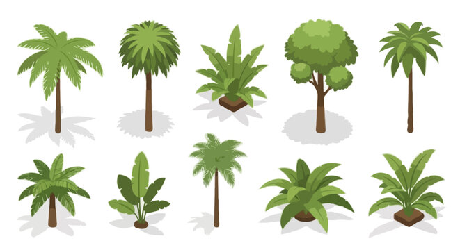 Isometric Tropical Trees and Plants Collection Palm Garden Landscape Elements