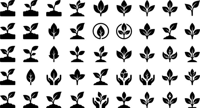 Soap Emblem Icons. Soap. Icon set. Set Logo of soap: natural soap leaf emblem. harmonious logo variations of the same emblematic concept, each with different