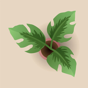 Interior furniture top view. Element for bedroom. Floor plan, view from above. Furniture store. Icon of interior. Isolated vector illustration