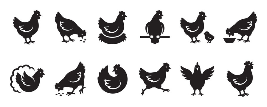 Collection of various black chicken silhouettes in different poses, including standing, pecking, nesting, and running, depicted in a simple graphic style