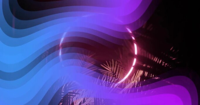 Animation of neon shapes moving over tropical leaves on black background