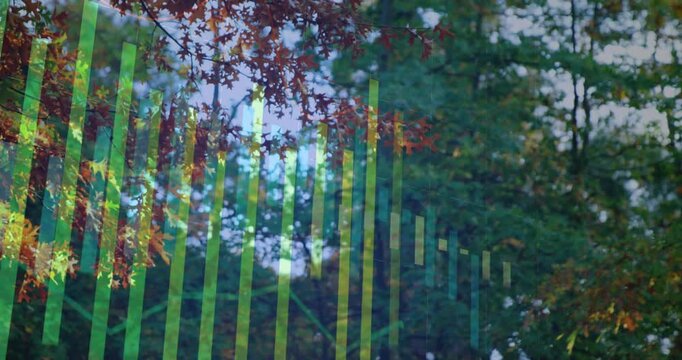 Vertical video: Start showing lime bars growing and sliding right over red leaves, filling frame