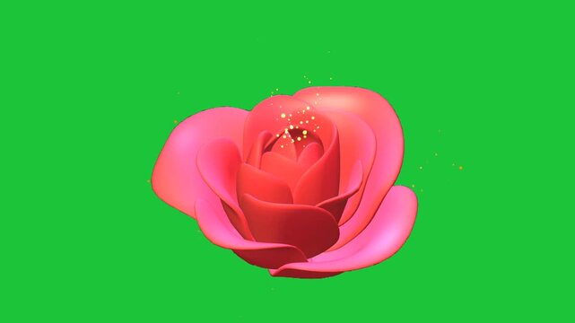 Blooming red rose animation with glowing particles on green background romantic floral design elegant style