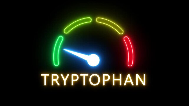 speedometer isolated icon on black background. simple speed meter icon animation.