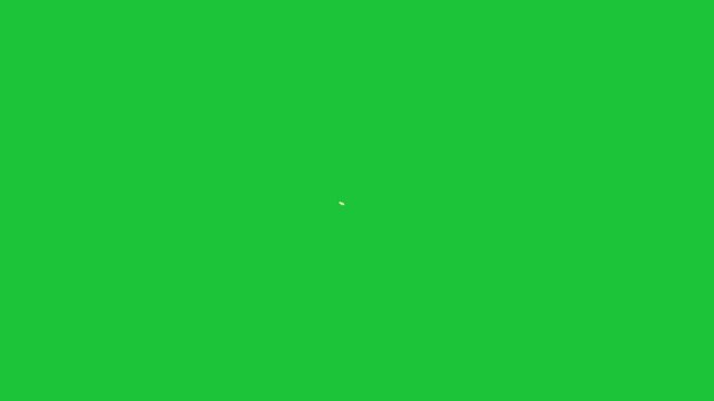 White daisy flower animation on green background simple blooming floral design bright clean style