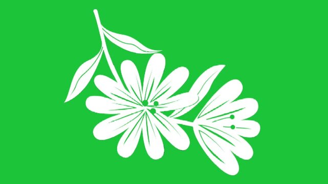 White floral silhouette animation on green background elegant blooming botanical design minimal clean style