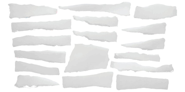 A collection of various white paper scraps with torn edges isolated against a plain white background