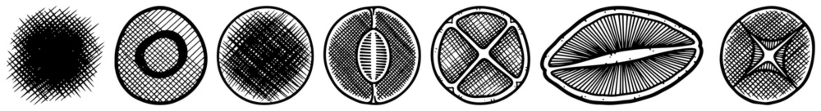 Circular icons set with diverse textures and cross hatching patterns in vintage engraving style