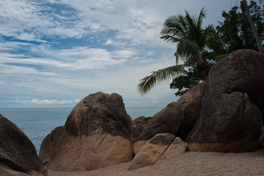 Coral Cove Beach
