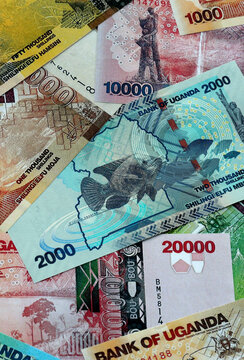 Ugandan shilling money banknotes pile on table. Uganda bills of UGX currency close up