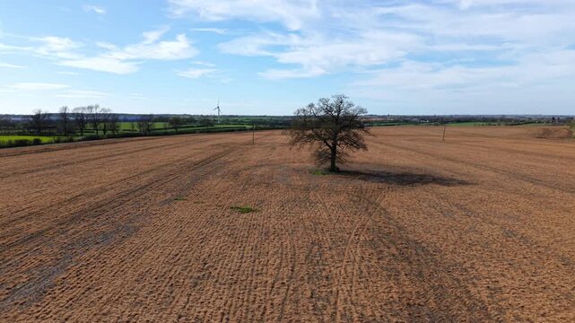 Aerial view of a lone tree in a brown rural field, showcasing solitude and resilience in the English countryside.