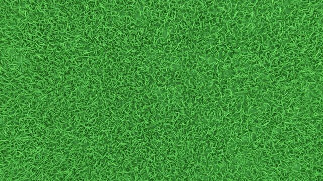 3D animation of football or soccer balls rolling on green grass field, stadium