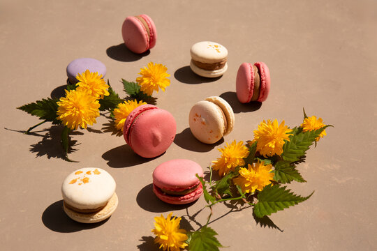Still life of delicious crispy macarons with yellow Japanese kerria flowers
