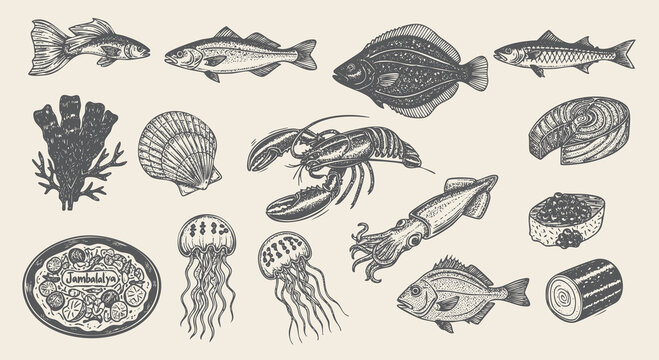 Seafood vector illustrations. Hand drawn line sea fishes, oysters, lobster, squid, octopus, crabs, Healthy food natural set