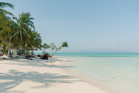 Tropical beach with turquoise water and a lone leaning palm tree