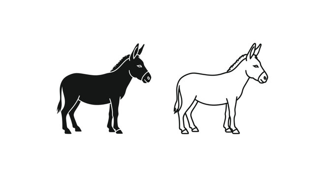 Donkey Breeds Comparison: Key Differences Illustrated Vector