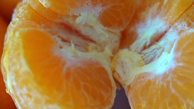 Cutting and peeling tangerine segments
