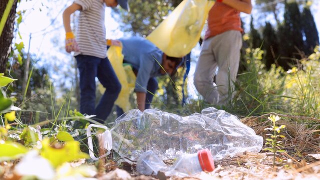 Group of adults and children volunteering outdoors, collecting plastic bottles and litter into yellow bags during a sunny forest cleanup to protect nature and promote sustainability
