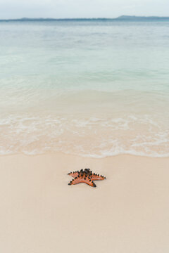 Starfish on the shore with gentle waves at the beach