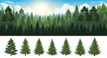 Fototapeta premium Forest Panorama view. Nature landscape. Forest silhouette. Forest background. Vector illustration. 