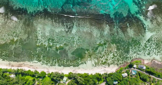 Aerial view of intricate coral reef patterns near a sandy shore, with turquoise waters. Seychelles, Praslin.