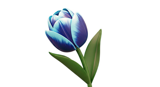 Blue Tulip Flower
