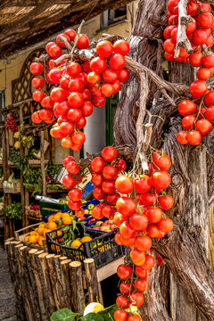 Vibrant clusters of Campanian cherry tomatoes hanging in a traditional Italian produce shop, rich in color and texture