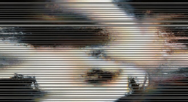 Xerox photocopy glitch overlay with sharp horizontal scan lines and distortion noise retro copy effect