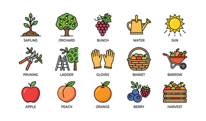 Fototapeta premium Colorful garden and harvest icons including trees, fruits, and tools