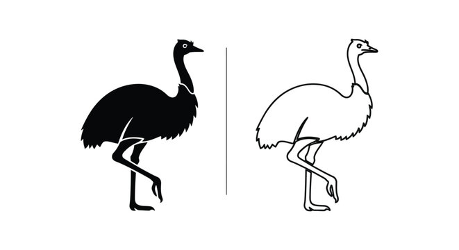 Emus Birds: Black and White Silhouette Design Vector