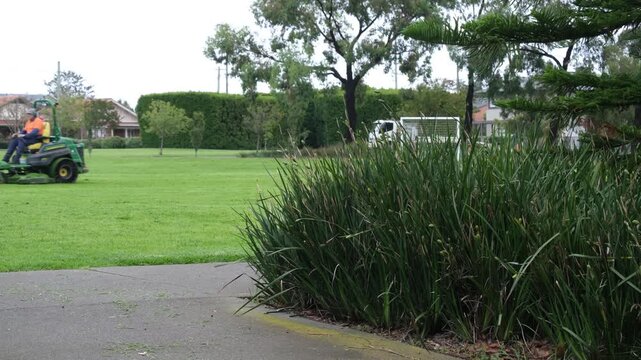 Foreground plants with a blurred lawn mowing worker maintaining a public park in Melbourne Australia. Council maintenance activity, urban greenery, public service, green space.