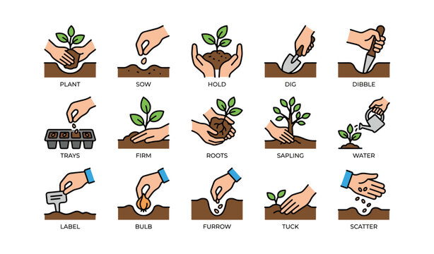Gardening techniques illustrated: planting, watering, and growing plants
