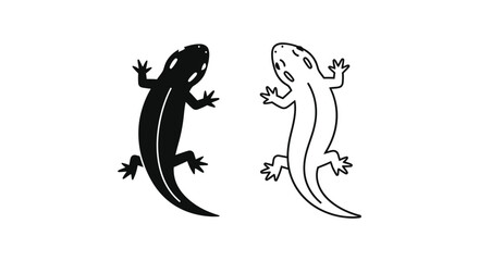 Naklejka premium Salamander vs Newt: Amphibian Identification Guide Vector
