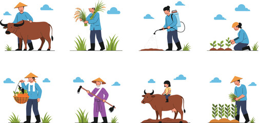 Fototapeta premium Traditional Asian Farmers Vector Set Featuring Rice Harvesting, Water Buffalo, Plowing, and Rural Agricultural Life Scenes for Cultural and Farming Industry Designs