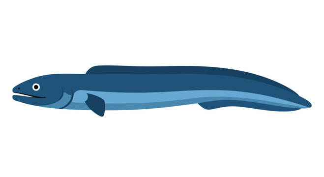 Blue Eel Swimming Isolated on White Background, Marine Life Illustration