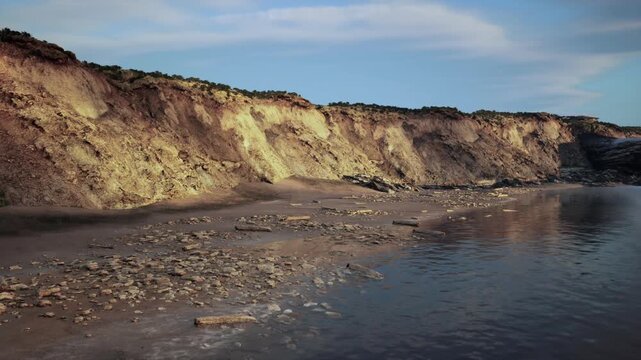 tidal habitat with coastal wildlife signs including shells, algae mats and rock pools, ecologist assessing intertidal biodiversity, subtle ripples and nutrient