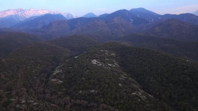 The beginning of spring blooming in the mountains. Talgar gorge. Ile-Alatau National Nature Park. The view from the drone.