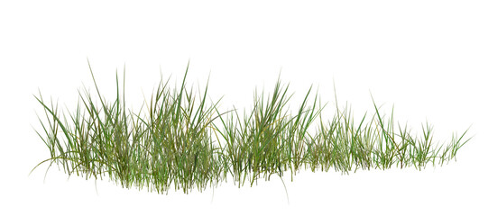 green grass isolated on white/High Resolution Green Grass Border Isolated on White Background for Architectural Rendering © Saharattaphum