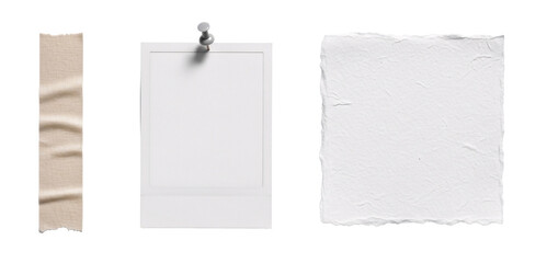 Torn paper scraps and instant photo pinned on transparent.